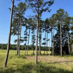 Property photo for land for sale in Le Flore County Oklahoma