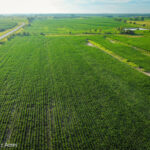 Property photo for land for sale in Clarke County Iowa