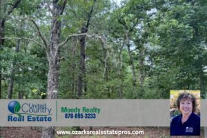 Property photo for land for sale in Fulton County Arkansas
