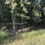 Property photo for land for sale in Brown County Texas