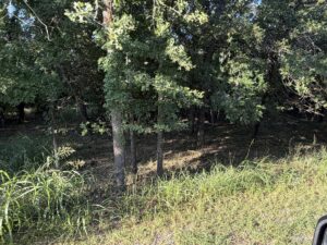 Property photo for land for sale in Brown County Texas