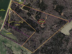 Property photo for land for sale in Green County Kentucky