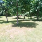 Property photo for land for sale in Claiborne County Tennessee