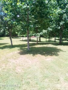 Property photo for land for sale in Claiborne County Tennessee