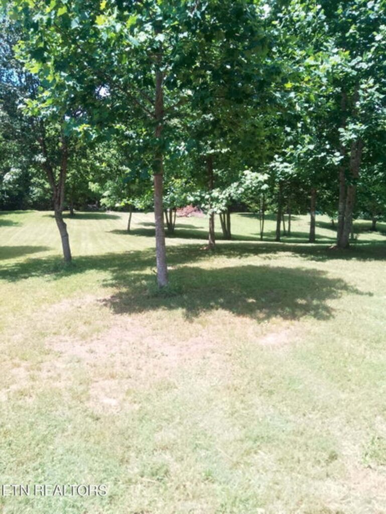 Property photo for land for sale in Claiborne County Tennessee