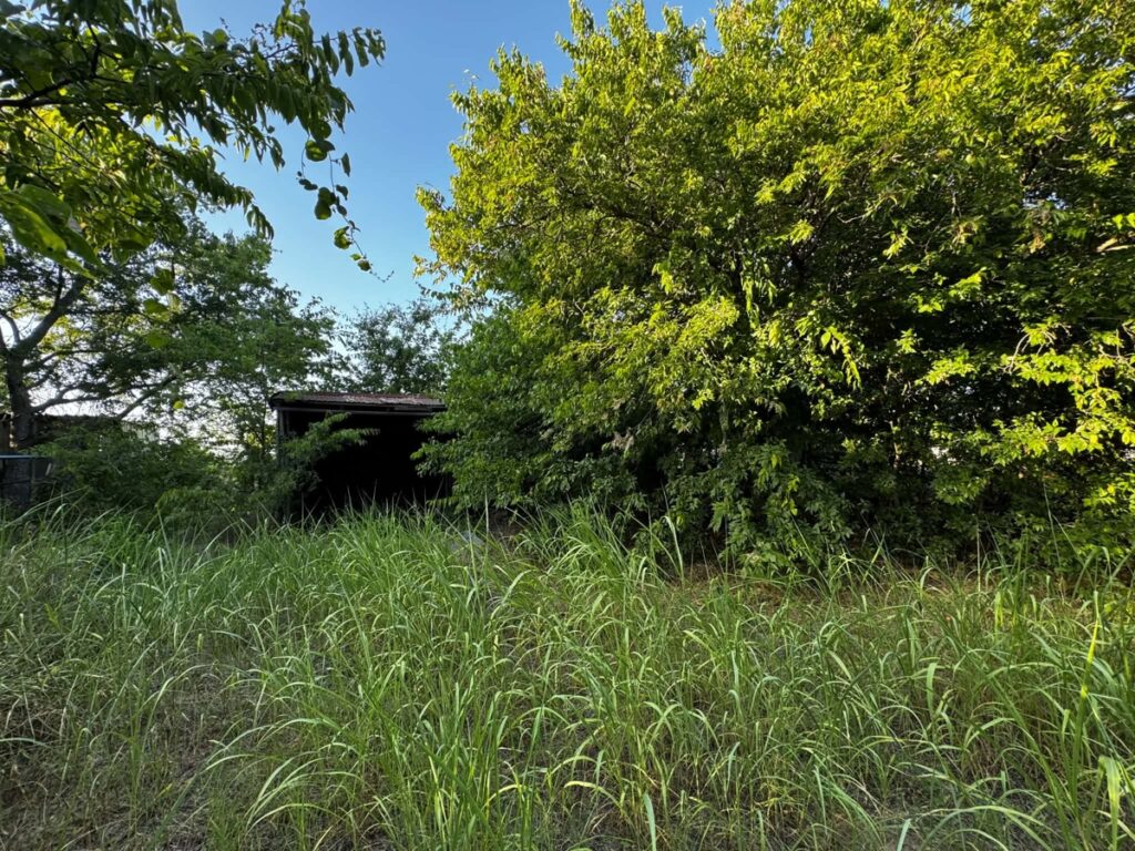 21b9ee27-1d21-4454-bc9f-38ff0f395c6c.jpg