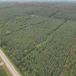 Property photo for land for sale in Lafayette County Arkansas