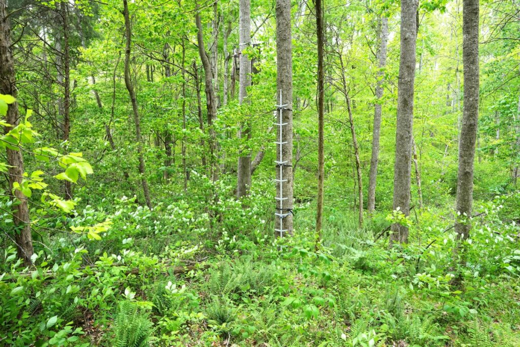 259392f3-0278-4623-872f-205f84b372dc.jpg