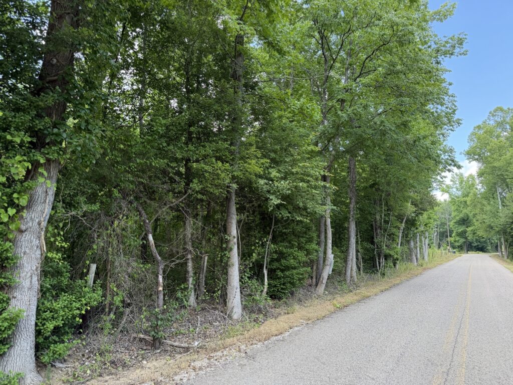 Property photo for land for sale in McNairy County Tennessee