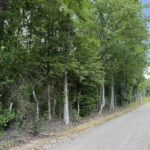 Property photo for land for sale in McNairy County Tennessee