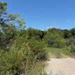 Property photo for land for sale in Brown County Texas