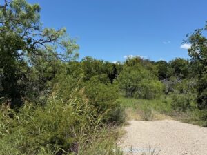 Property photo for land for sale in Brown County Texas