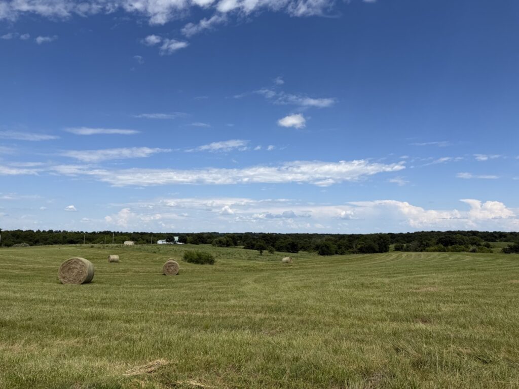 27012692-7808-47fd-9baf-618016b79b0d.jpg
