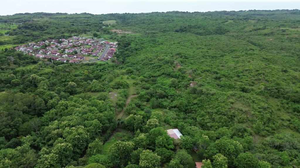 Property photo for land for sale in County Panama
