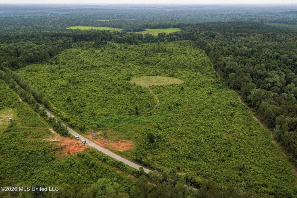 Property photo for land for sale in Amite County Mississippi