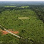 Property photo for land for sale in Amite County Mississippi