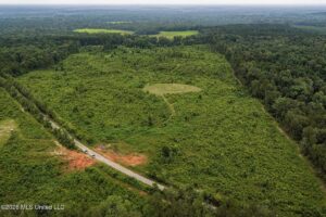 Property photo for land for sale in Amite County Mississippi