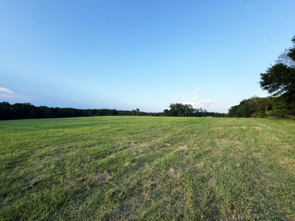2831b636-fe83-4277-bbca-a84fde598d14.jpg