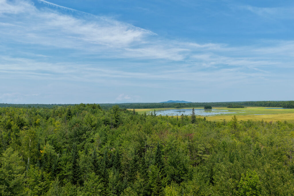 Property photo for land for sale in Penobscot County Maine