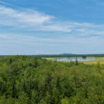 Property photo for land for sale in Penobscot County Maine