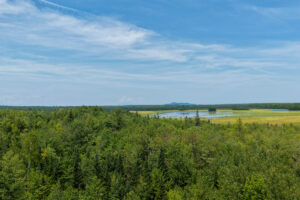 Property photo for land for sale in Penobscot County Maine