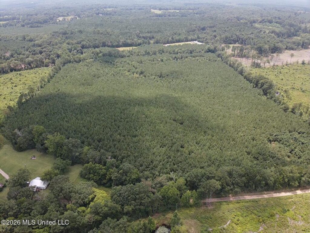 Property photo for land for sale in Smith County Mississippi