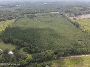 Property photo for land for sale in Smith County Mississippi