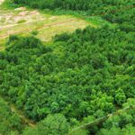 Property photo for land for sale in Coffee County Alabama