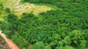 Property photo for land for sale in Coffee County Alabama