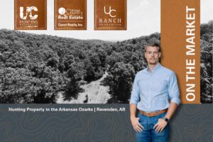 Property photo for land for sale in Randolph County Arkansas