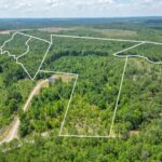 Property photo for land for sale in Chesterfield County South Carolina