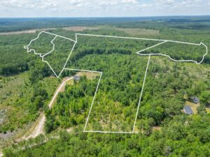 Property photo for land for sale in Chesterfield County South Carolina