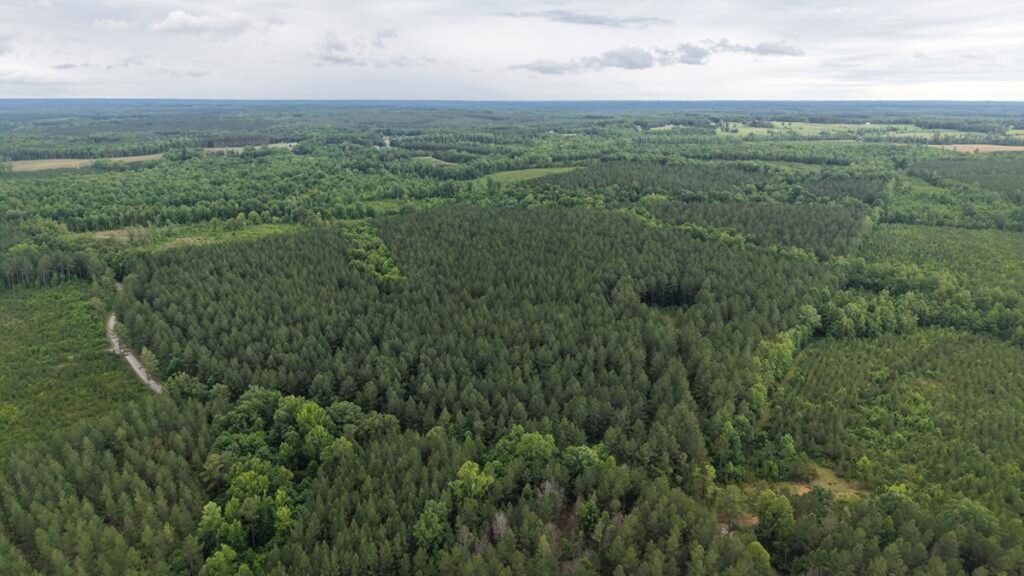 Property photo for land for sale in Lunenburg County Virginia