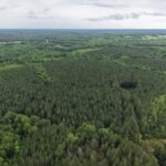 Property photo for land for sale in Lunenburg County Virginia