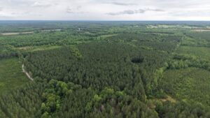Property photo for land for sale in Lunenburg County Virginia