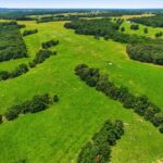 Property photo for land for sale in Texas County Missouri