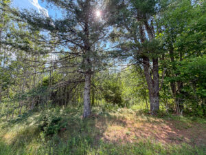 Property photo for land for sale in Hancock County Maine
