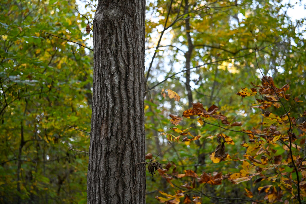 2f88b693-9581-4a8e-bab3-f8dee3adff8a.jpg