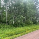 Property photo for land for sale in Pine County Minnesota