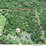 Property photo for land for sale in Bee County Texas