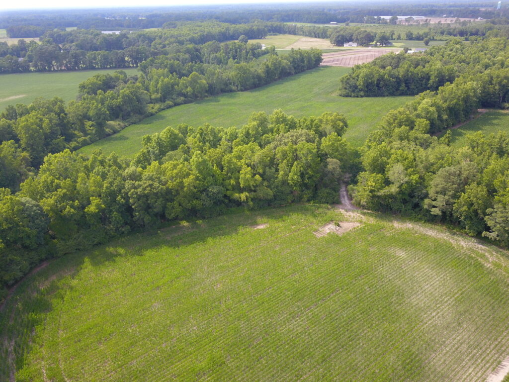 Property photo for land for sale in Duplin County North Carolina
