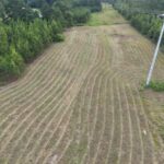 Property photo for land for sale in Lee County Alabama