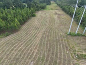 Property photo for land for sale in Lee County Alabama