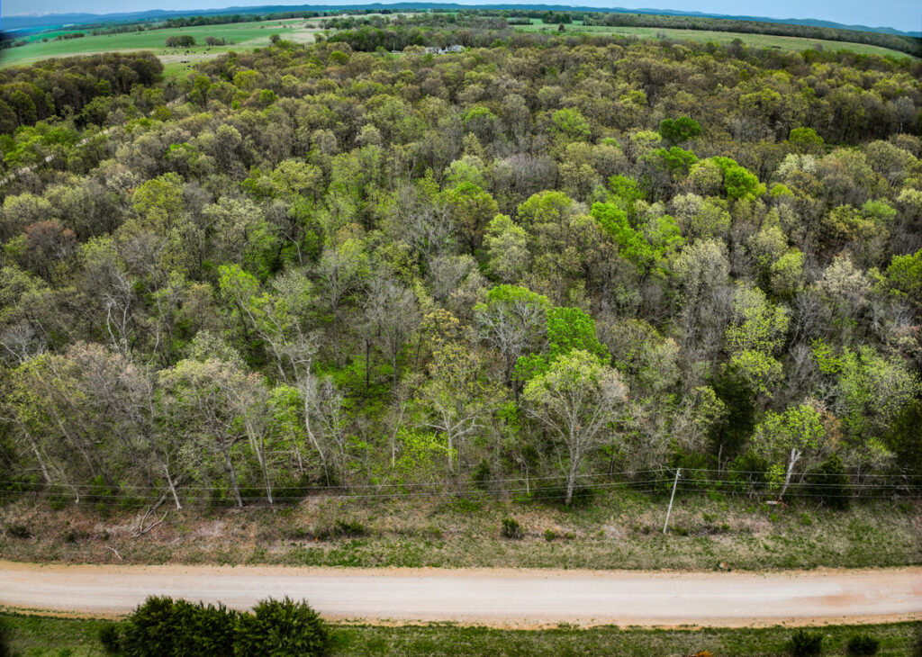 34eab3e2-0497-4635-b125-dc28440c251a.jpg