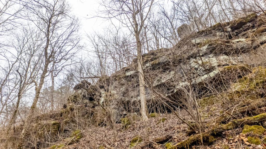 36a48799-1a45-486a-b281-15f3ba41c132.jpg