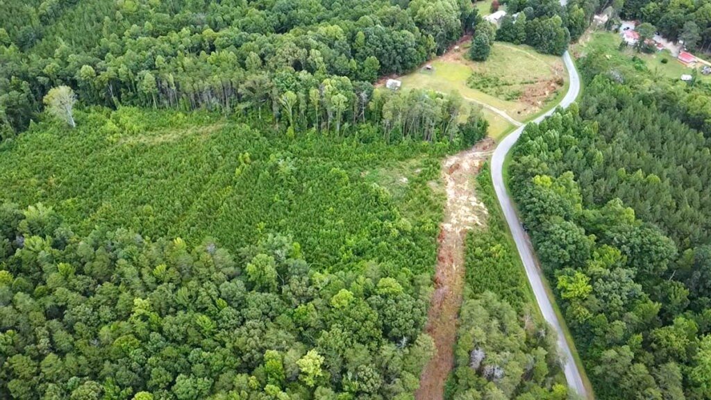 36e9ccca-1d7f-4e8d-be4c-cf657436f78c.jpg