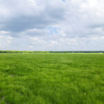 Property photo for land for sale in Carter County Oklahoma
