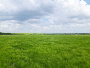Property photo for land for sale in Carter County Oklahoma