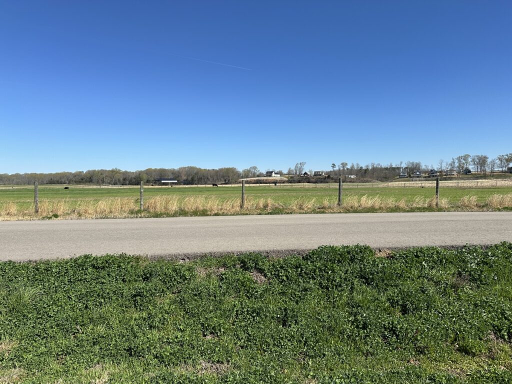 372e5b8d-afbf-45db-aa78-466c1e003036.jpg