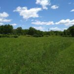 Property photo for land for sale in Madison County New York